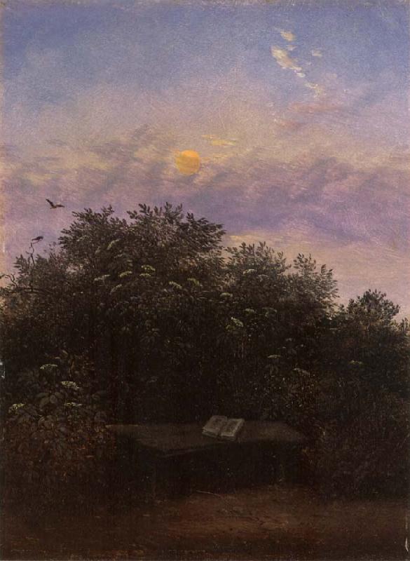 Carl Gustav Carus Blooming Elderberry Hedge in the Moonlight